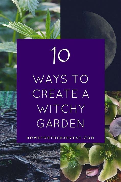 Magical Herb Garden: Using a Garden Witch Hat to Grow Witchcraft-Inspired Plants